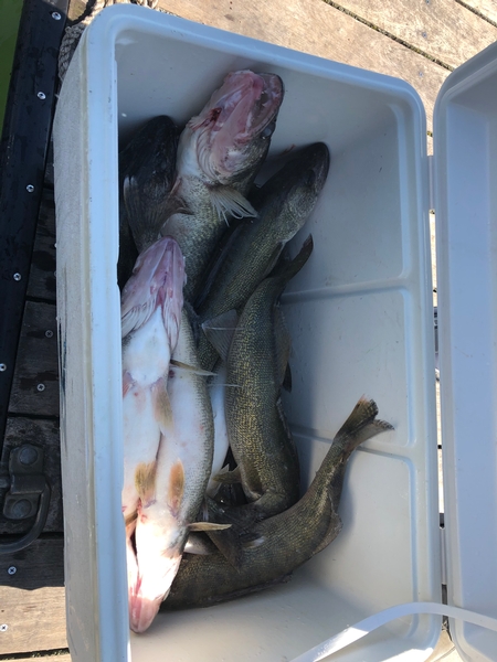 great morning trip with old friends